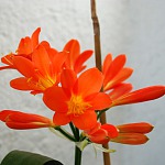 Estaci&oacute;n de metro