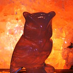 Buho Lechuza269