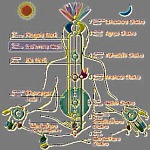 Chakras y campo magnético