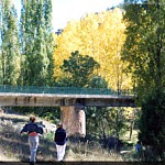 Caminando en el colapso
